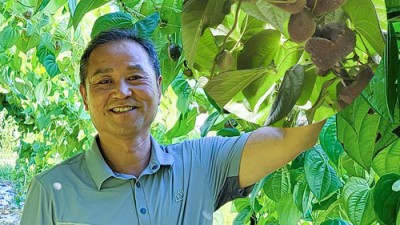 울산 진장동 하나로마트 열무 가격 꿀팁! 싱싱한 열무 득템 후기