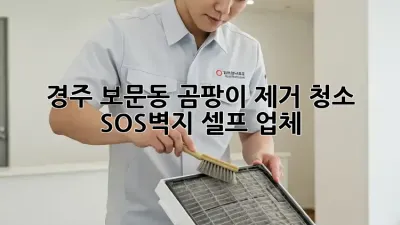 경주 보문동 곰팡이 제거 청소 SOS🚨벽지 셀프? 업체?