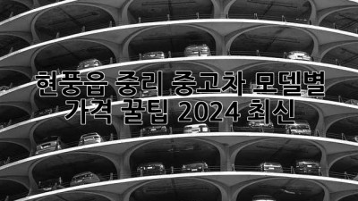 현풍읍 중리 중고차, 모델별 가격 꿀팁🍯 (2024 최신)